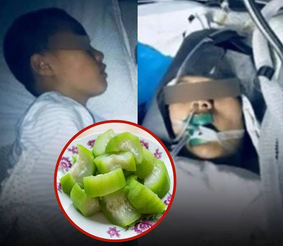 Doctors warn that this “bitter vegetable” could become dangerous if prepared or eaten incorrectly… Some experts say the risk may be mo