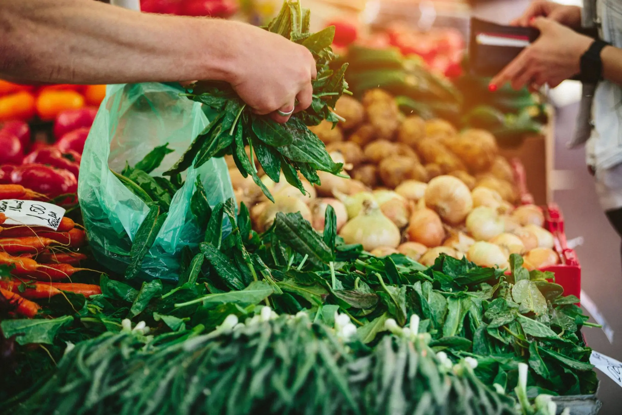 4 Common Vegetables That May Harbor Parasites — Yet Many People Still Eat Them Raw Every Day