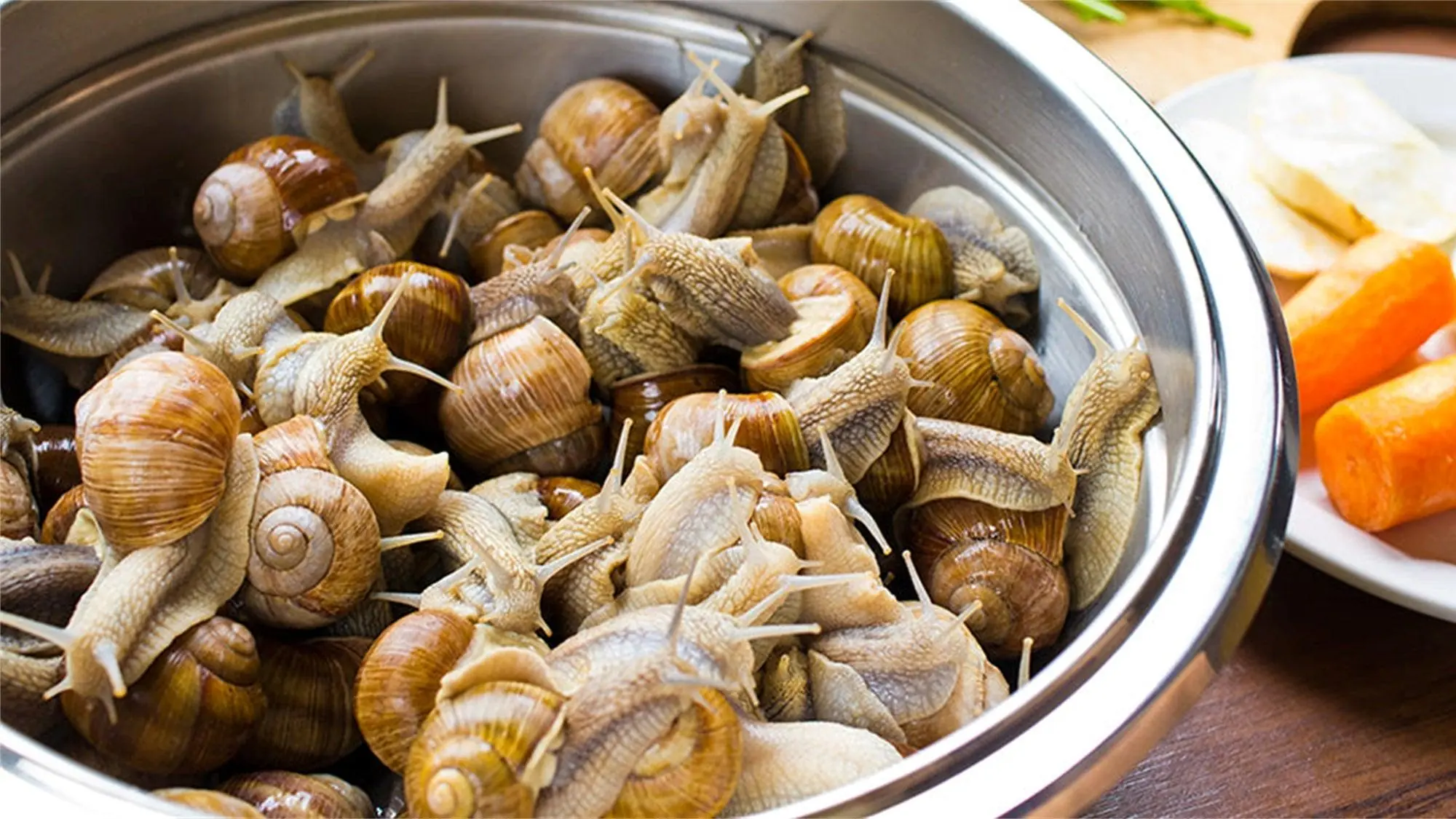 8 Foods That May Carry Parasites If Not Properly Prepared: What You Should Know Before Eating