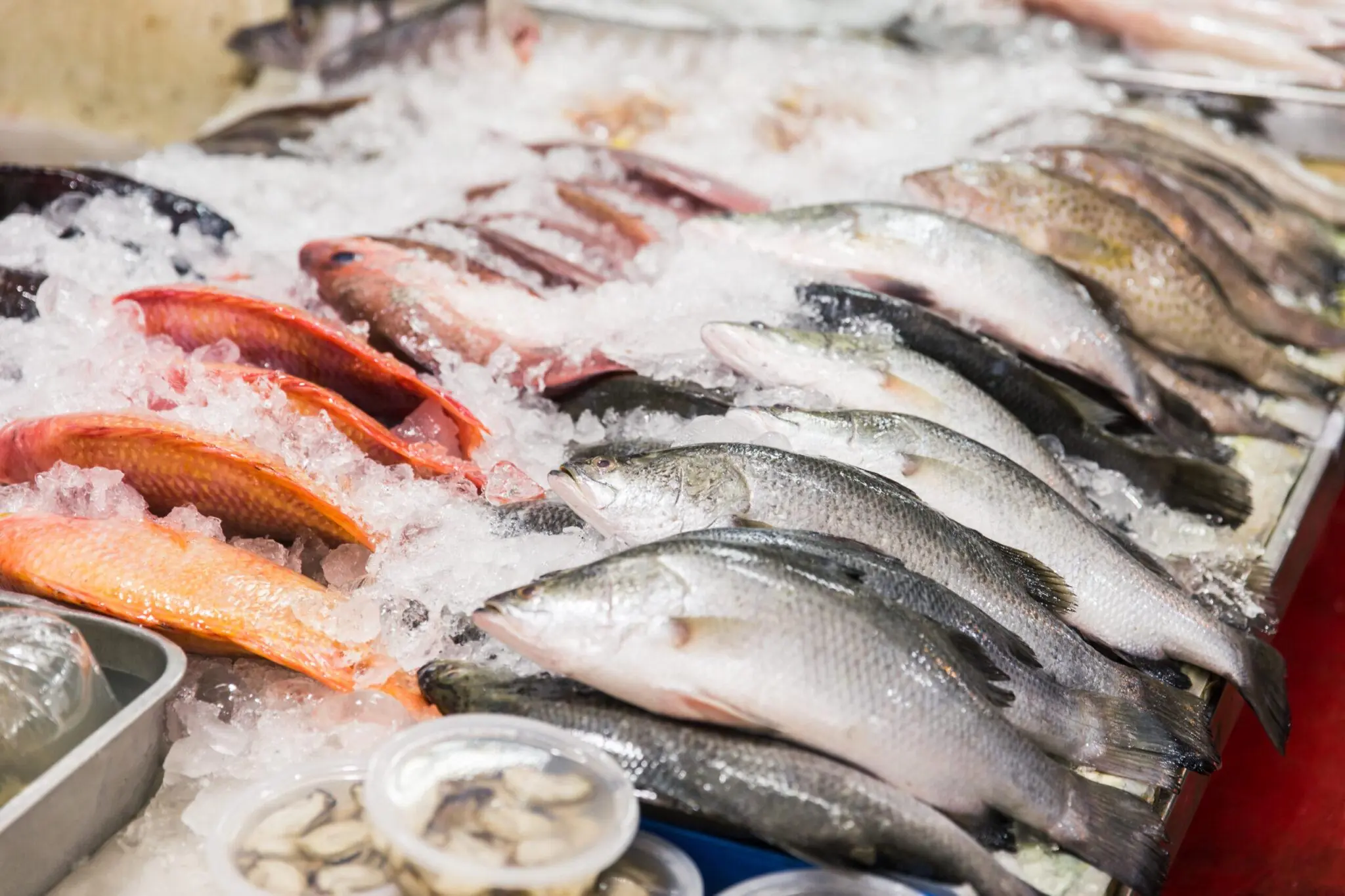 3 Types of Fish You Should Eat in Moderation, According to Food Safety Experts