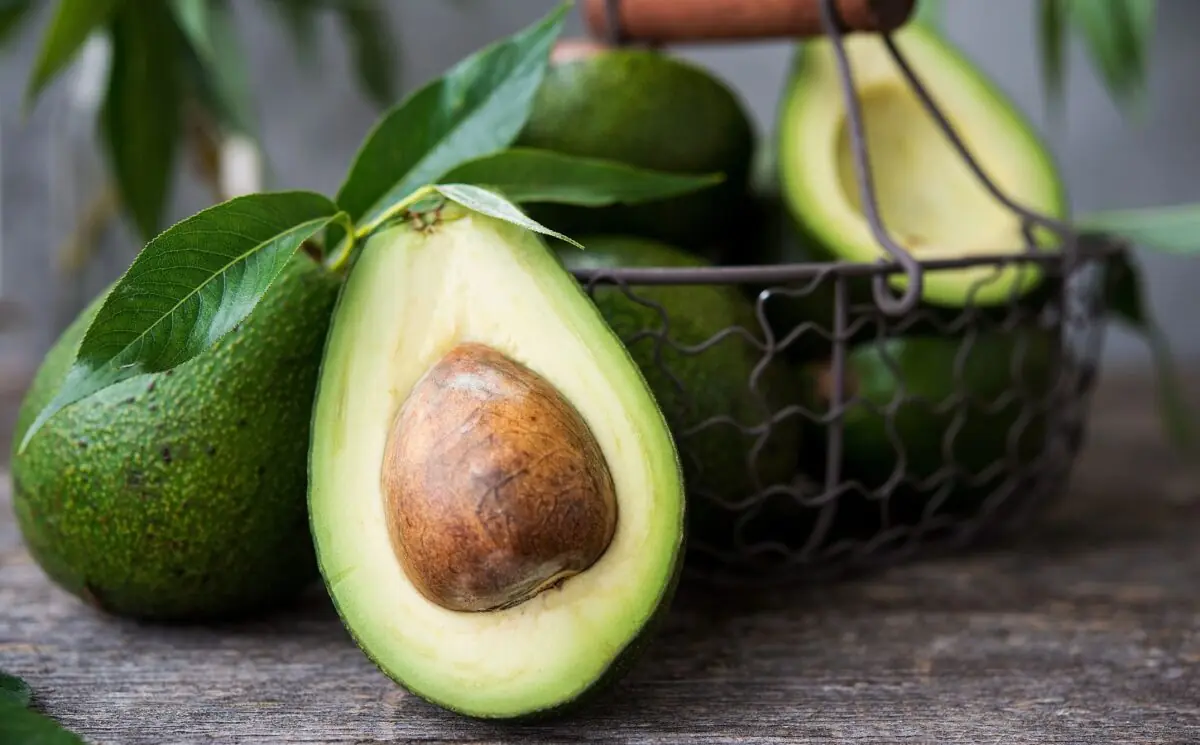 Most People Think Avocados Are Perfect—But These 5 Groups Should Be Careful
