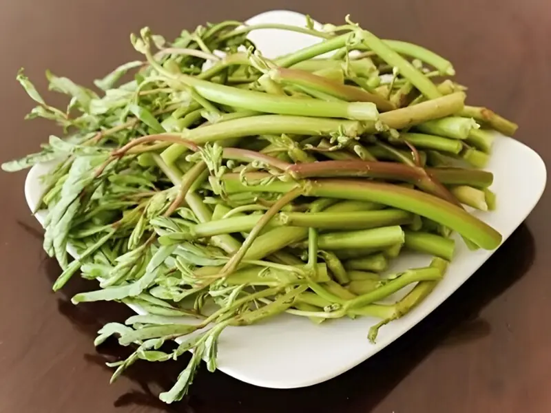 Raw Vegetables Can Be Healthy But These 5 Need Careful Washing and Preparation
