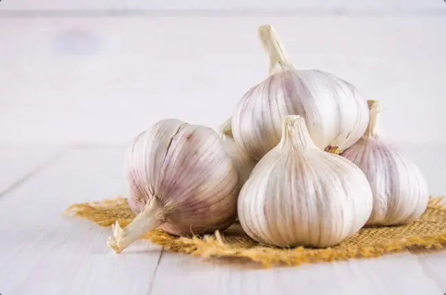 Can Garlic Help Soothe Your Throat? 15 Potential Benefits to Know