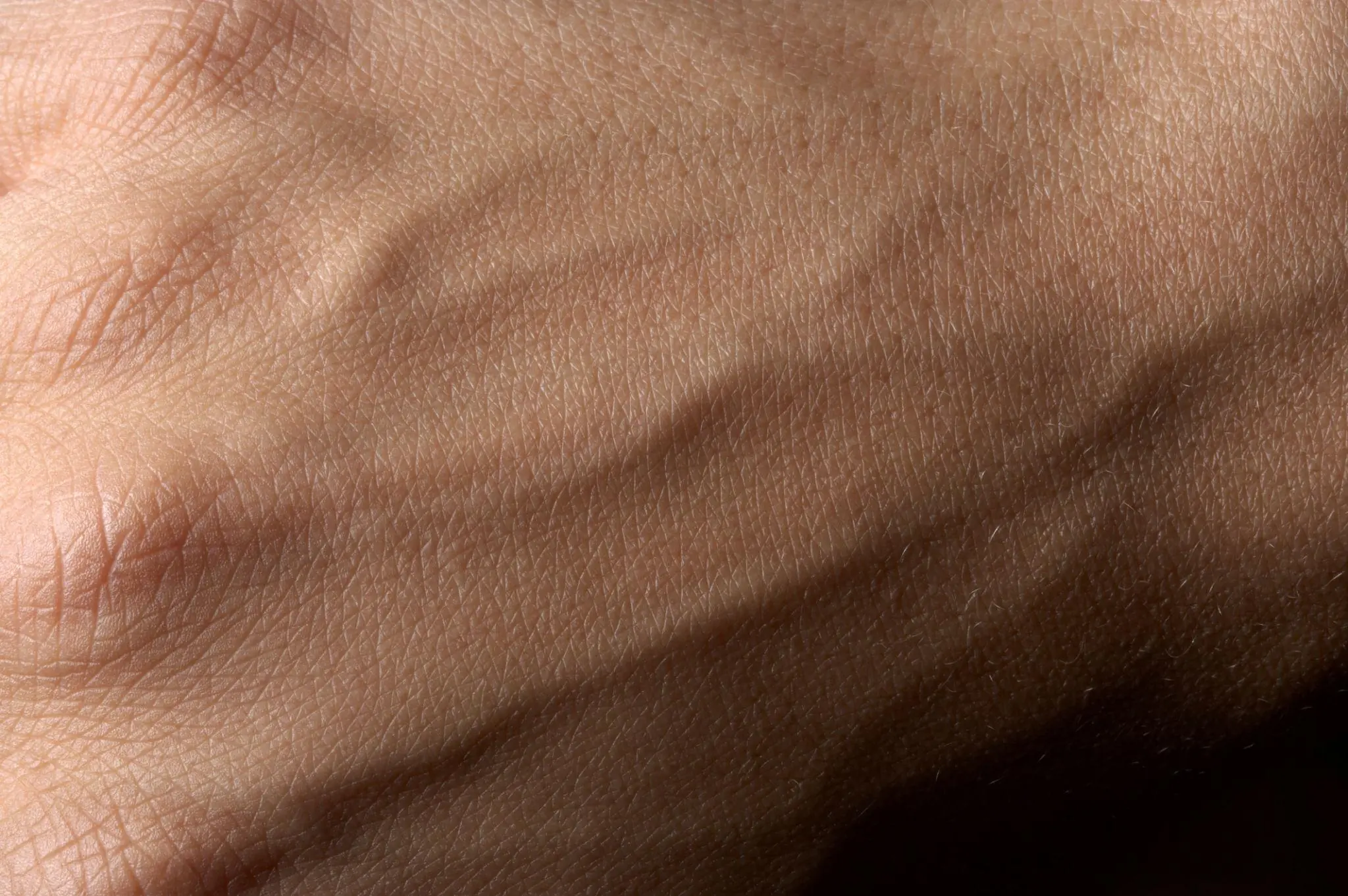 Visible Veins: What They Can Reveal About Your Health—and When You Should Pay Attention