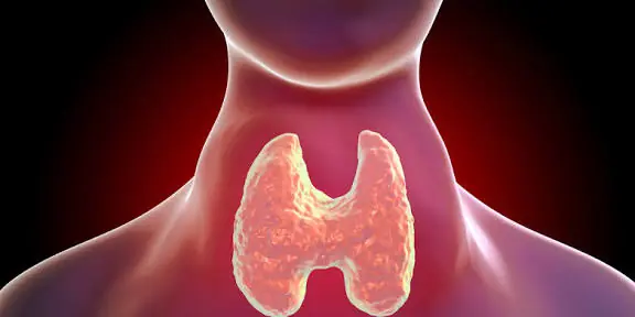 Doctors Recommend Being Cautious With These 6 Foods If You Have Thyroid Issues