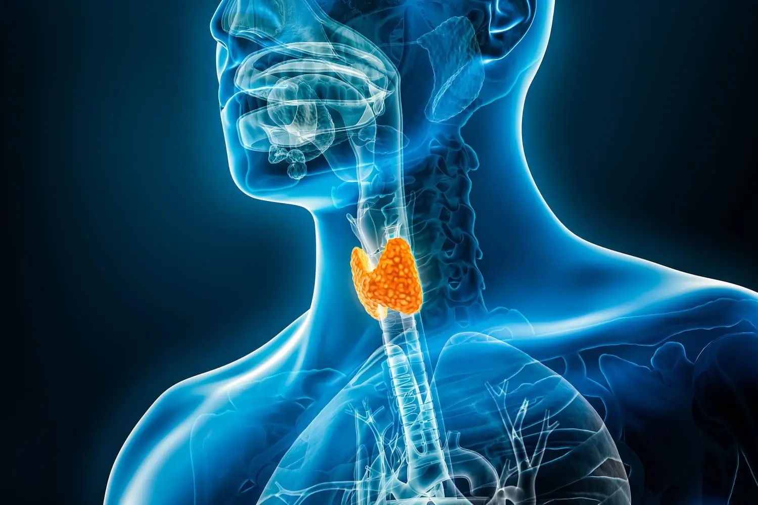10 Warning Signs Your Thyroid Might Not Be Working Properly