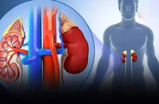 Most people don’t notice kidney failure until it’s too late — remember this to prevent it