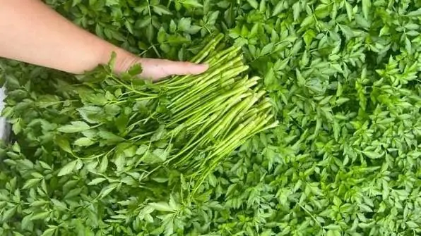 These Vegetables May Accumulate More Heavy Metals - Here's What You Need to Know