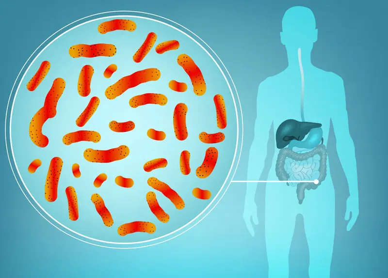 10 Possible Signs of a Parasitic Infection and 7 Foods That May Support Digestive Health
