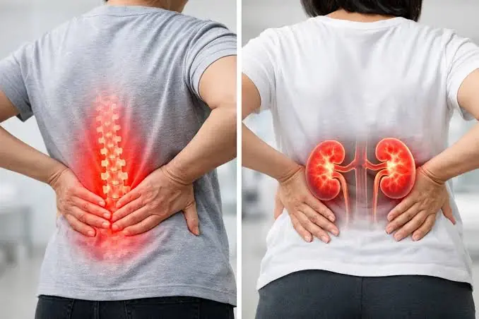 Your Body Might Be Telling You Something Important: 11 Signs of Kidney Disease