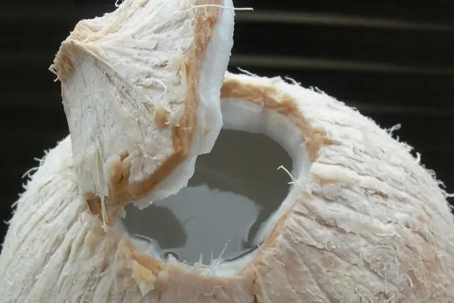 12 Incredible Coconut Water Facts That Might Surprise You