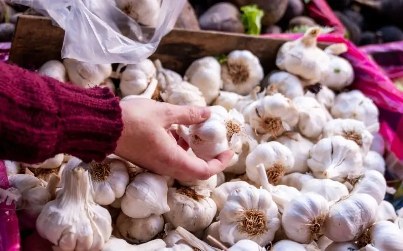 Choosing Garlic? Here's How to Spot 4 Common Warning Signs Before You Buy