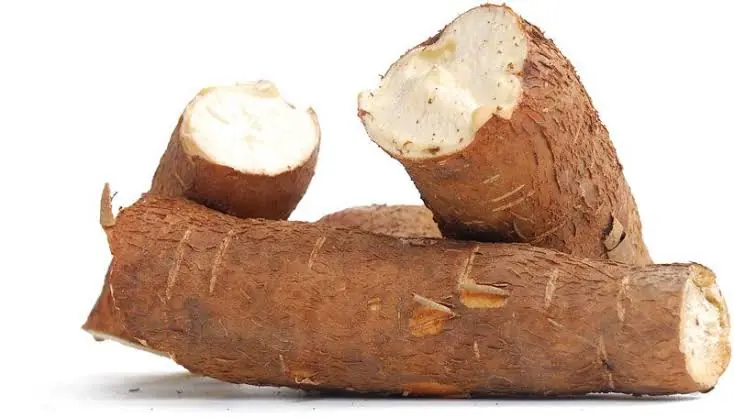 Over 500 Million People Eat This Food—But Few Know the Risks. Check the 1st Comment