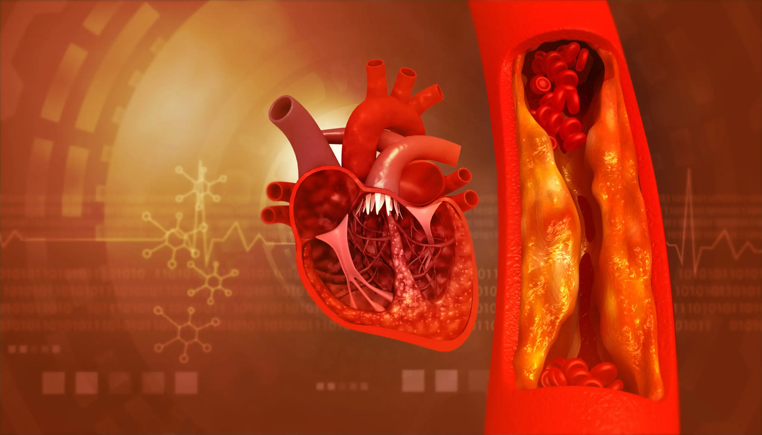 Nutrient-Rich Foods That May Help Promote a Healthy Heart System