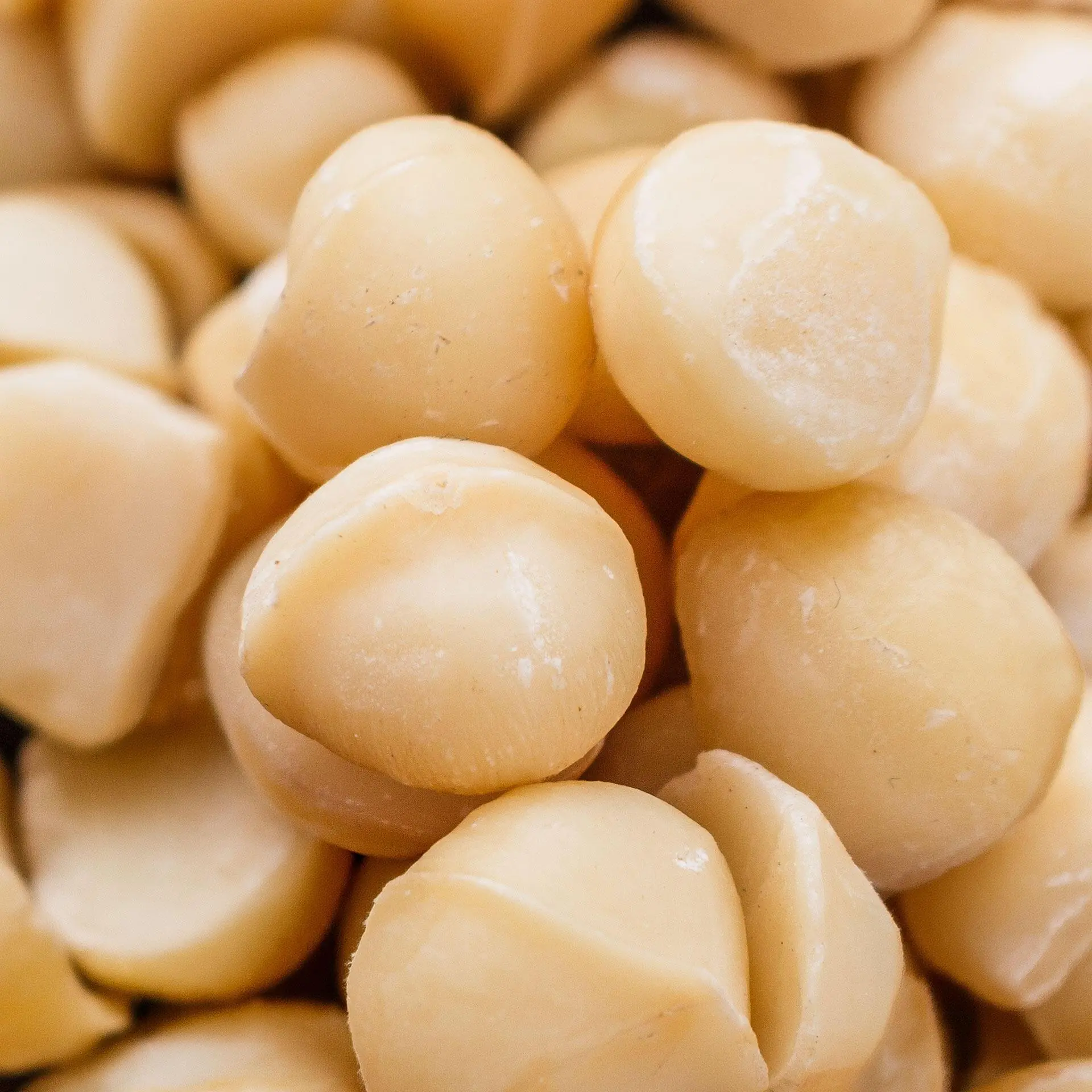 Doctors reveal that eating macadamia nuts causes...See more đđ