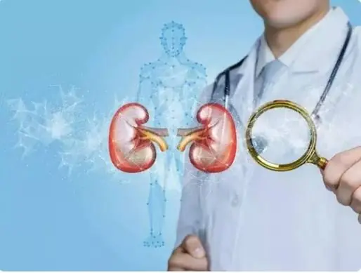 Kidney Problems Often Develop Gradually - Don't Ignore These Prevention Tips