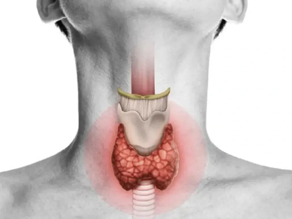 Eating These 6 Foods? Here's How They May Impact Your Thyroid