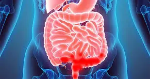 The First Food You Eat in the Morning Could Affect Your Digestion More Than You Think