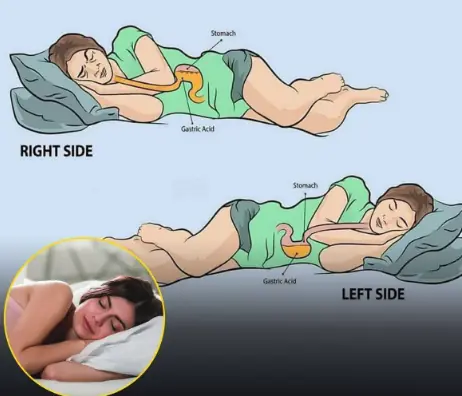 This is what sleeping on the left side does for our brain, stomach & glymphatic health