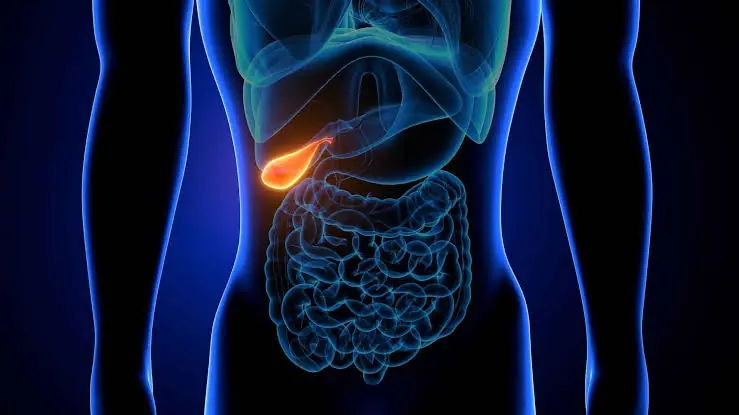 Had Your Gallbladder Removed? Here's What Your Body May Experience