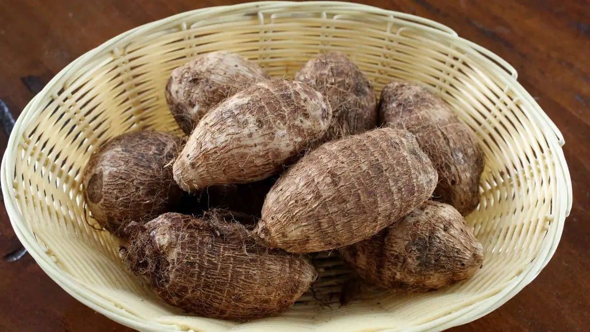 The Root Vegetable This Village Eats Every Day Left Scientists Speechless