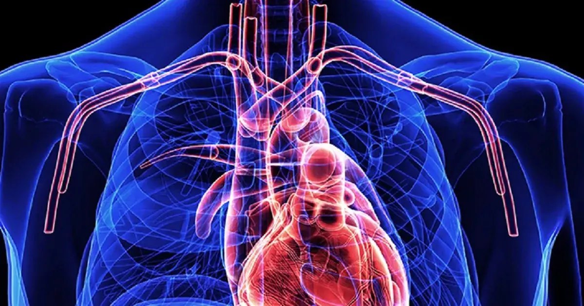 Your Body May Show These 5 Warning Signs Before a Heart Attack—Don't Ignore Them