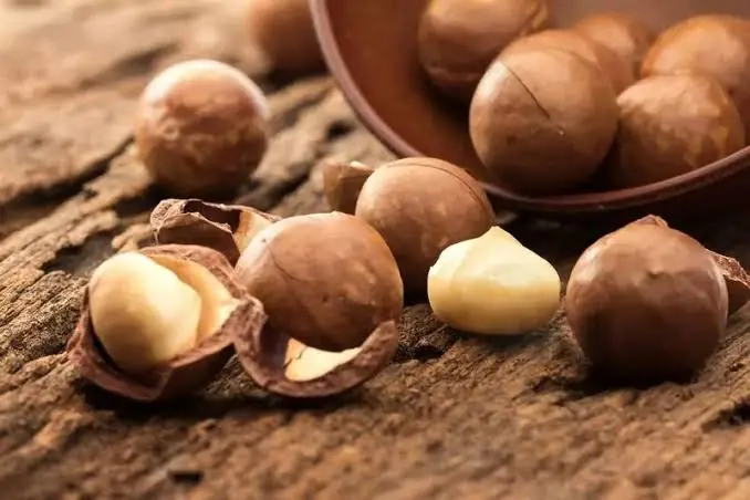 Why Nutrition Experts Recommend Eating Macadamia Nuts Regularly