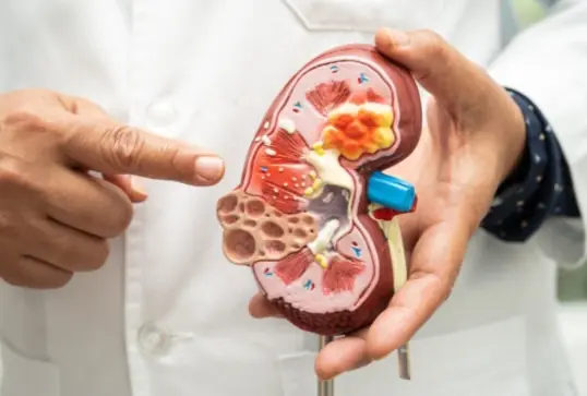 1 minute to “check your kidneys” at home