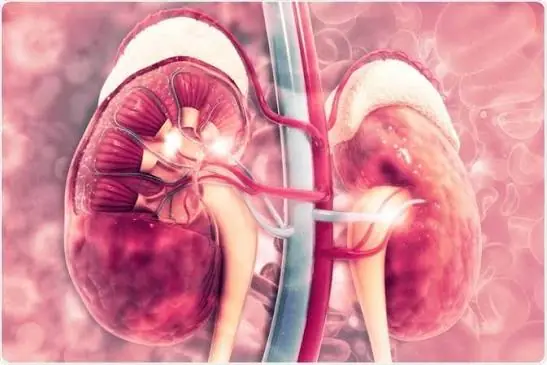 Your Body Could Be Warning You About Kidney Problems—Here Are 10 Signs