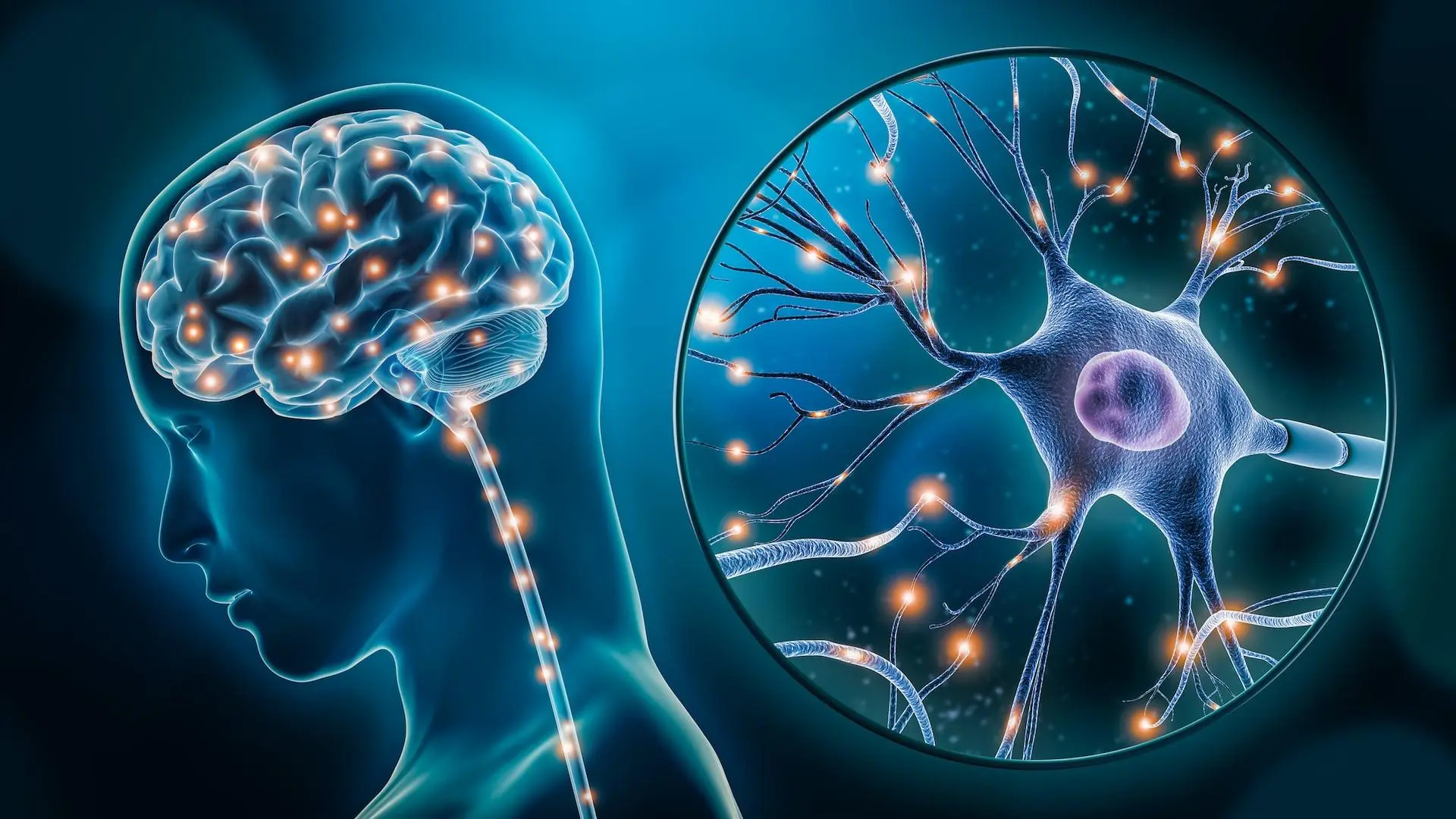 10 Shocking Signs of Dementia Most People Overlook—And How to Protect Your Brain Starting Today