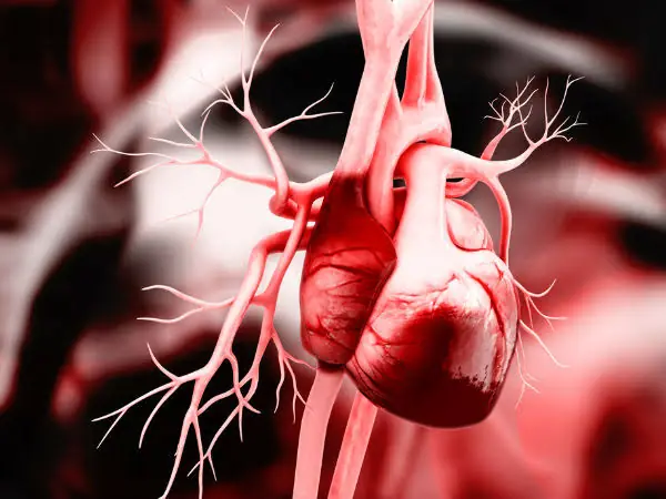 These Common Foods Could Make a Bigger Difference for Your Heart Than You Think