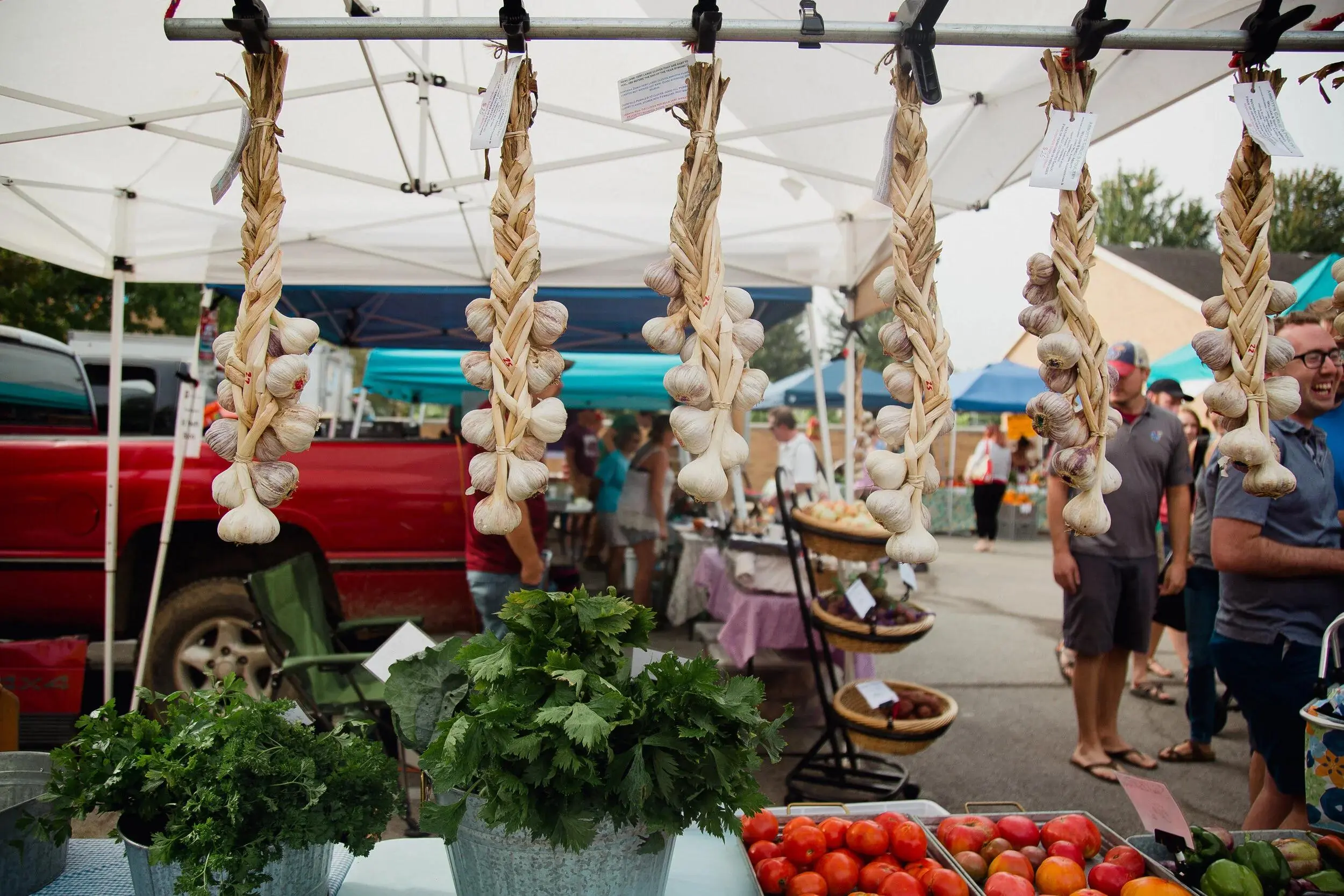 4 Types of Garlic You Should Avoid Buying—Even If They're Cheap