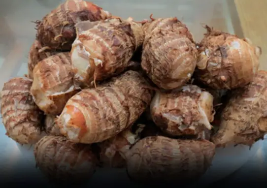 A village with almost no cancer cases—thanks to a root vegetable that’s cheap and eaten daily