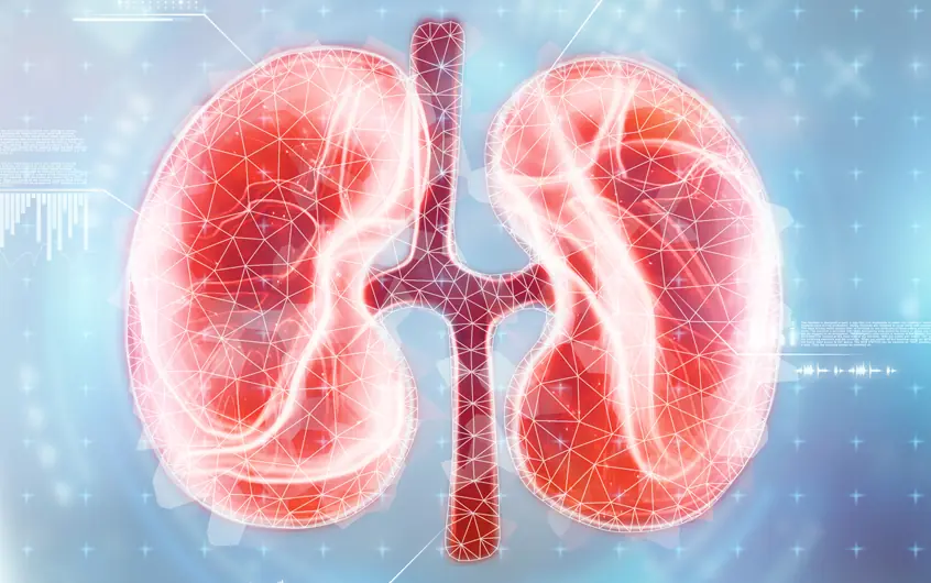 Could These 8 Symptoms Be Linked to Kidney Disease? Here's What to Know