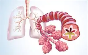 Could This 2-Ingredient Drink Help Soothe Your Throat and Loosen Mucus?