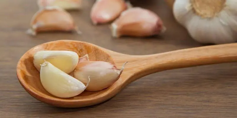 Garlic Cooked in Ghee: Traditional Uses, Potential Benefits and Considerations