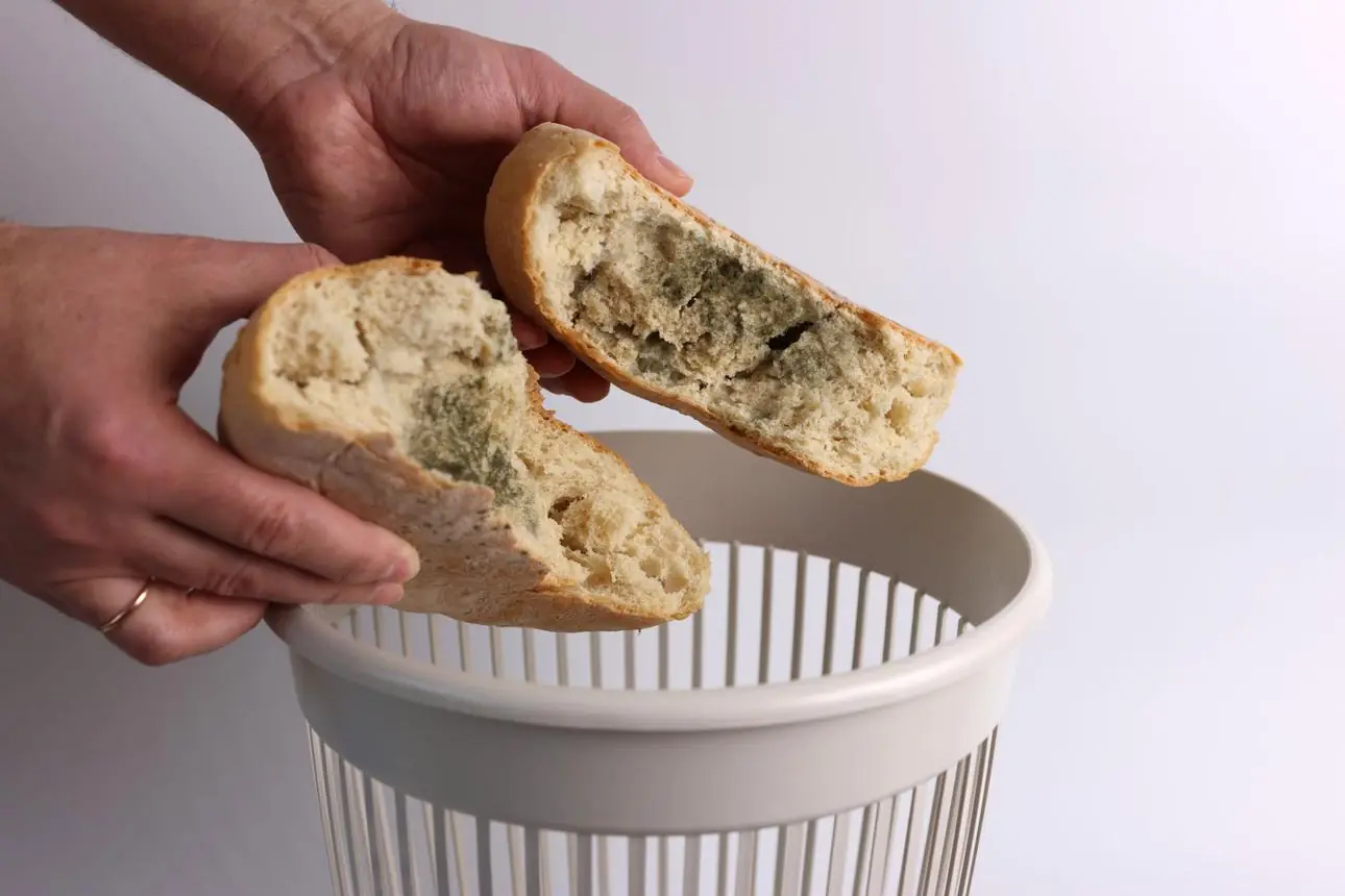 Cutting Off the Mold and Eating the Rest? The Common Mistake You Should Never Make