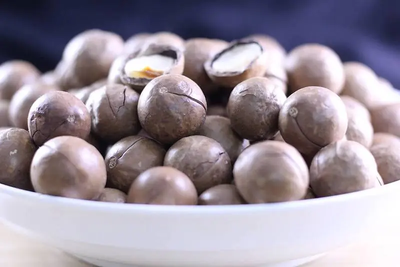 Most People Eat Macadamia Nuts Without Knowing What They May Be Doing Inside the Body