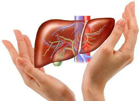 A Young Teacher Ignored the Warning Signs—Doctors Say These 3 Areas May Reveal Liver Trouble