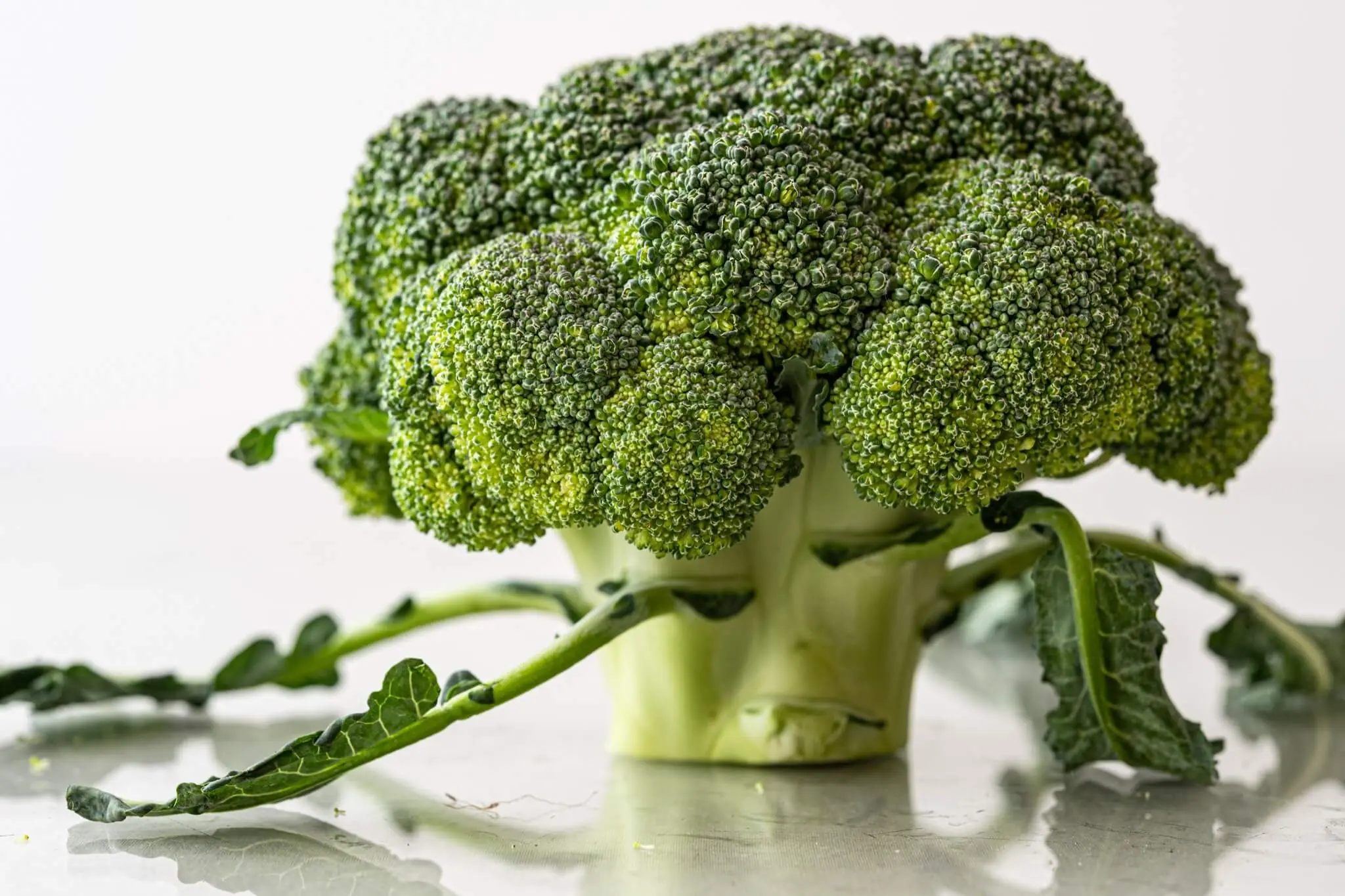 Could Broccoli Be One of the Healthiest Vegetables? Experts Explain