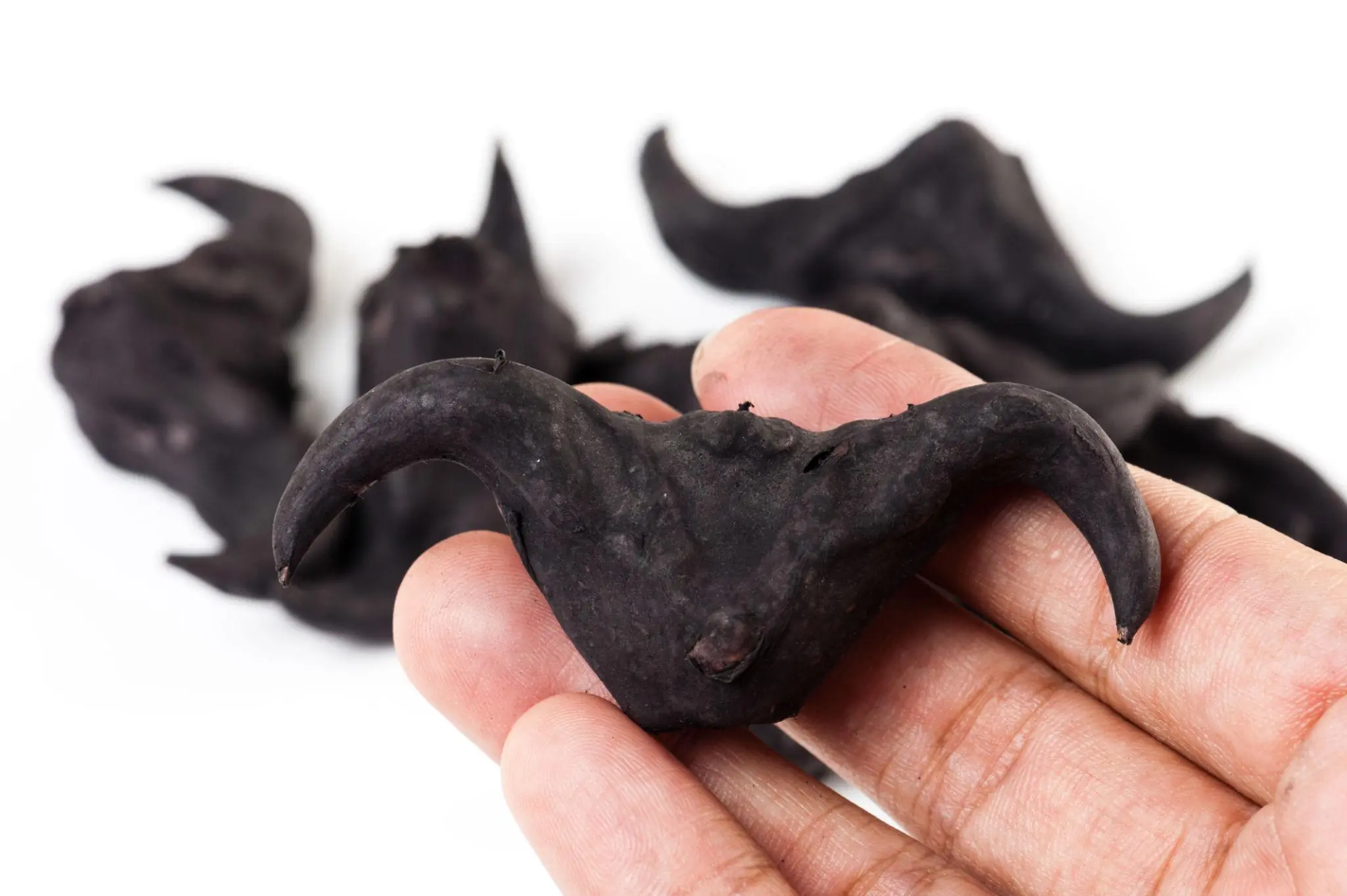 My neighbor gave me a bag of these… anyone know what they are? How do you eat them?