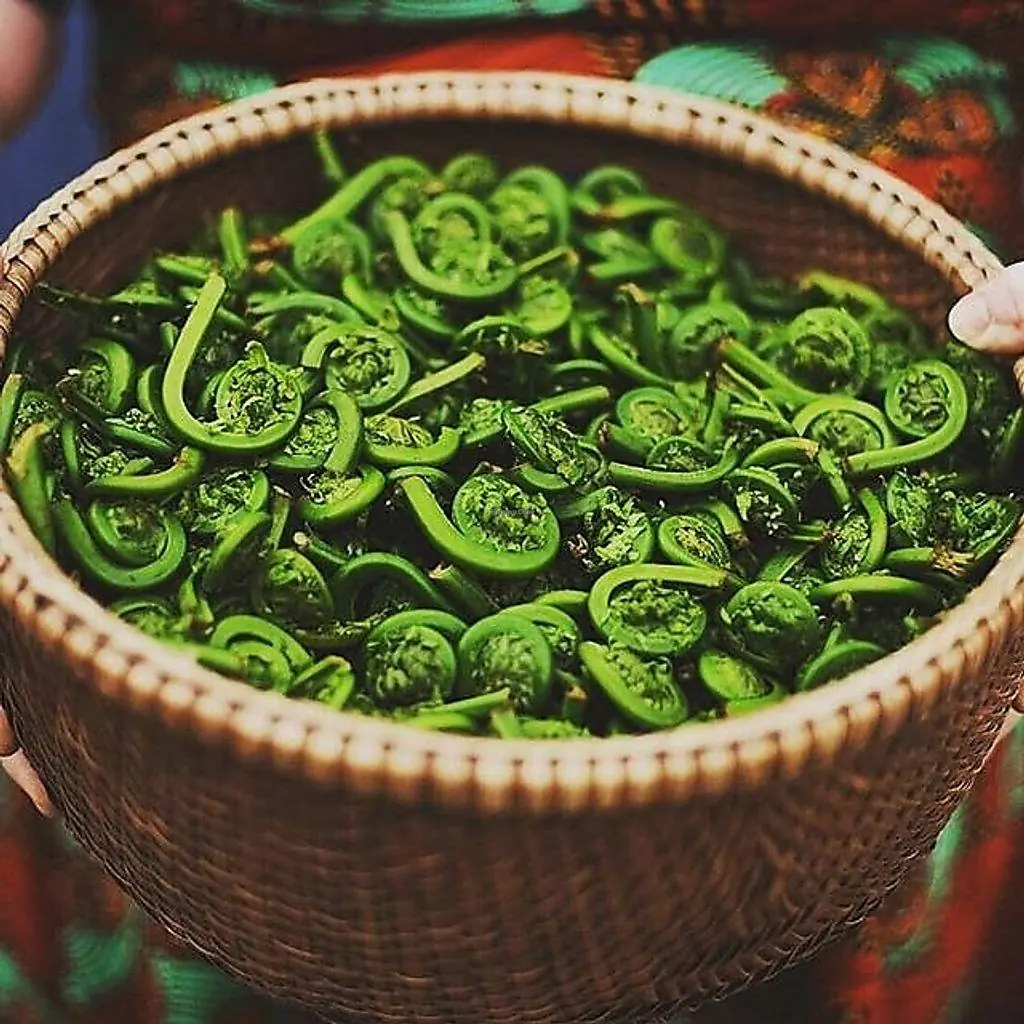 This Green Vegetable Has Sparked Scientific Interest for Its Potential Cancer-Fighting Compounds