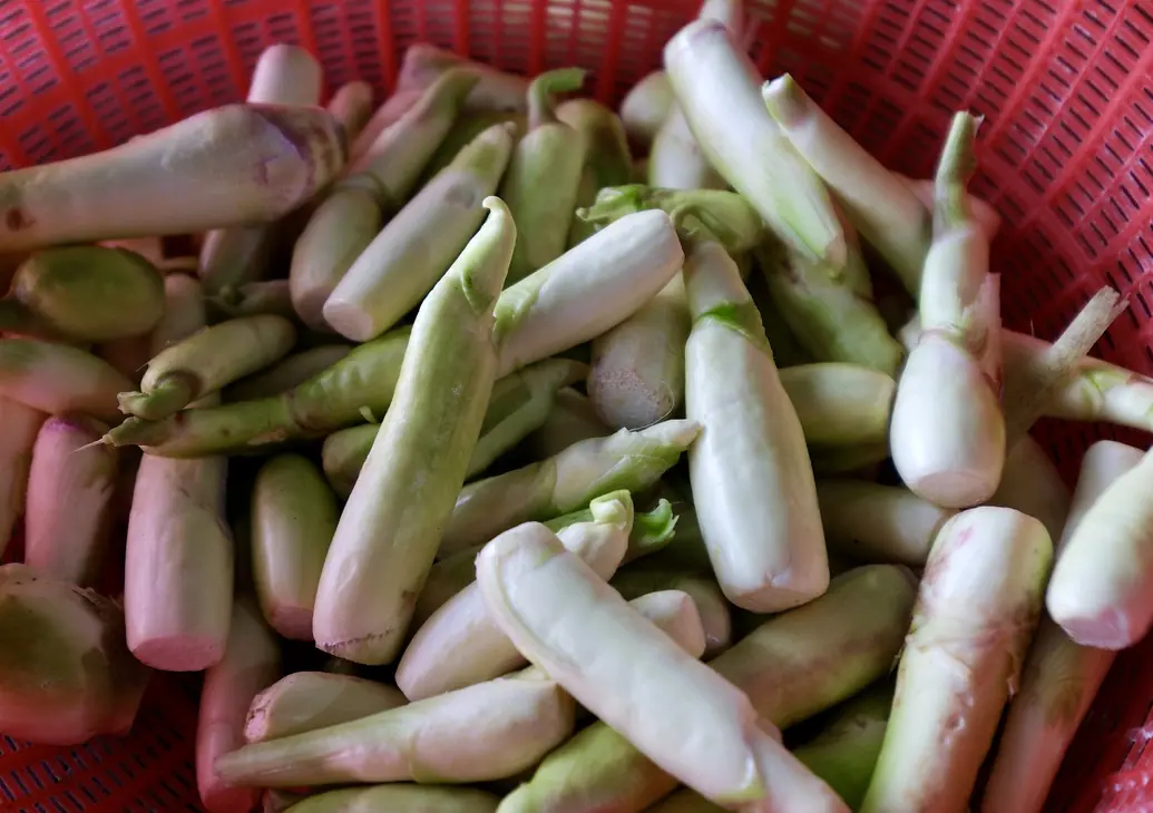 One of the Most Common Raw Vegetables May Carry Parasites If Not Properly Cleaned