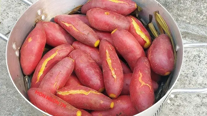 Don't Just Eat Sweet Potatoes Anytime—Here's When They May Be Most Beneficial