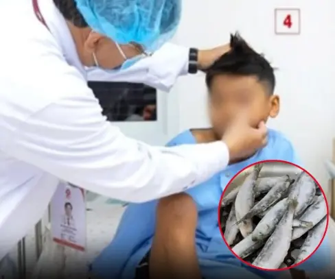 9-Year-Old Diagnosed With Leu.ke.mia: Doctors Urge Parents to Be Cautious About These Three Common Types of Fish