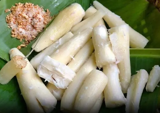 One of the World's Most Dangerous Foods Is Still a Staple for Millions of People