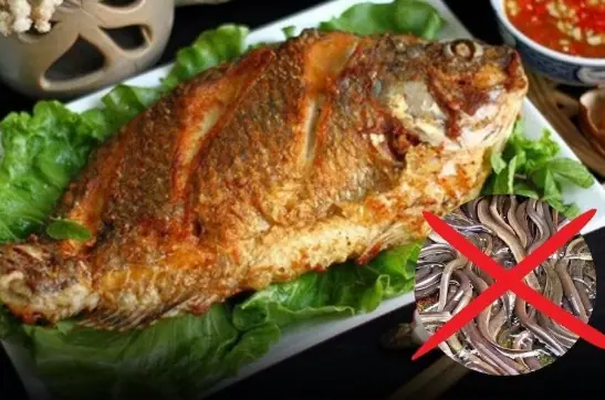 3 Types of Fish That Could Carry Hidden Health Risks — No Matter How Delicious They Are, You May Want to Avoid Them