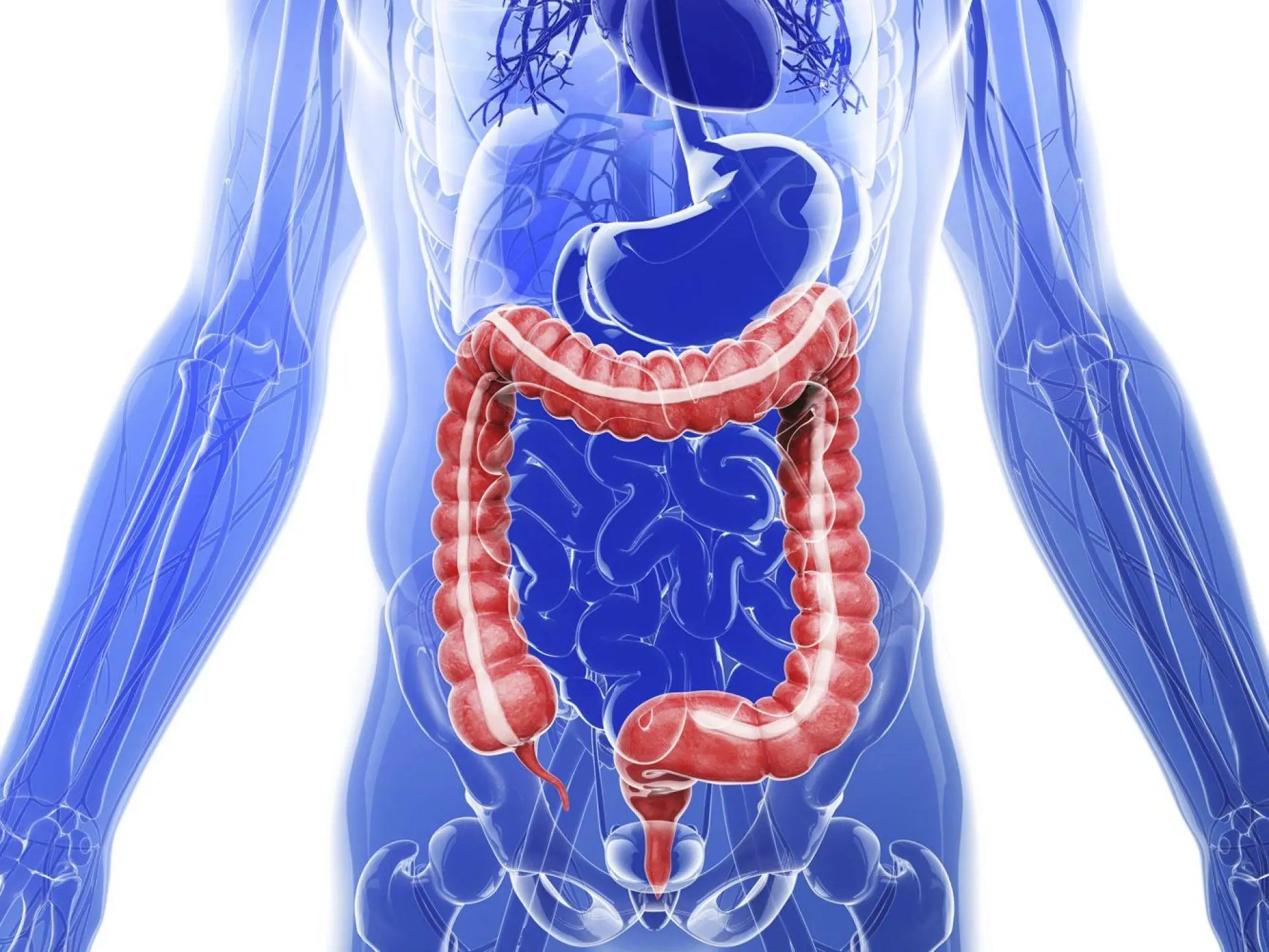 4 Warning Signs During Bowel Movements That Could Mean You Have Colon Polyps