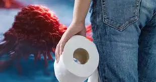 The Truth About Toilet Paper and Potential Health Risks — What the Research Says