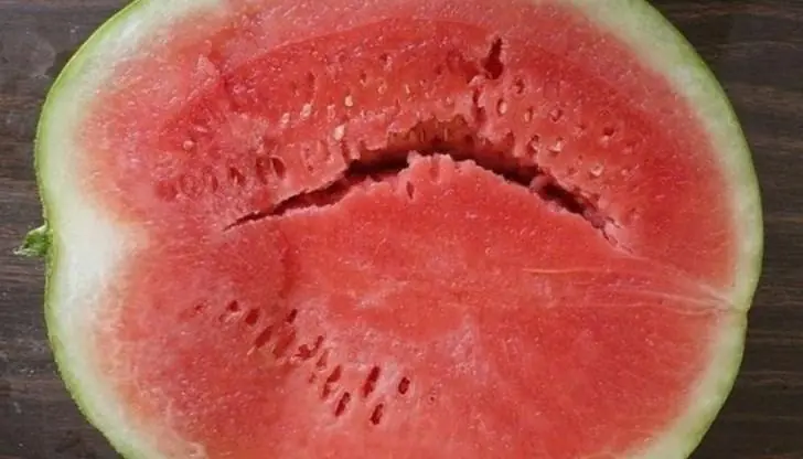 You Cut Open a Watermelon and Found Cracks? Stop Eating It Until You Know What They Mean